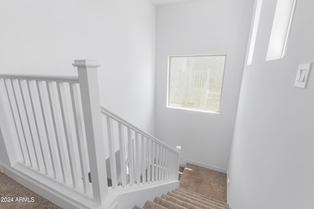 staircase featuring carpet floors