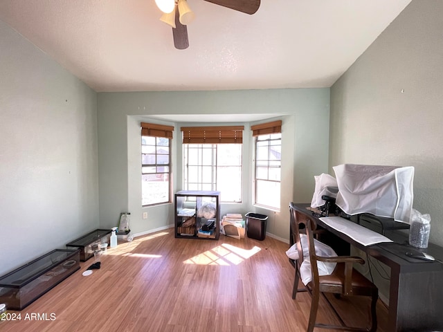 office featuring ceiling fan, a healthy amount of sunlight, and light hardwood / wood-style flooring