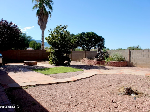 view of yard with a patio area and a fire pit