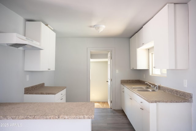 1410 S 24th Ave, Phoenix, AZ 85009 - kitchen featuring dark wood-style floors, white cabinets, light countertops, and a sink