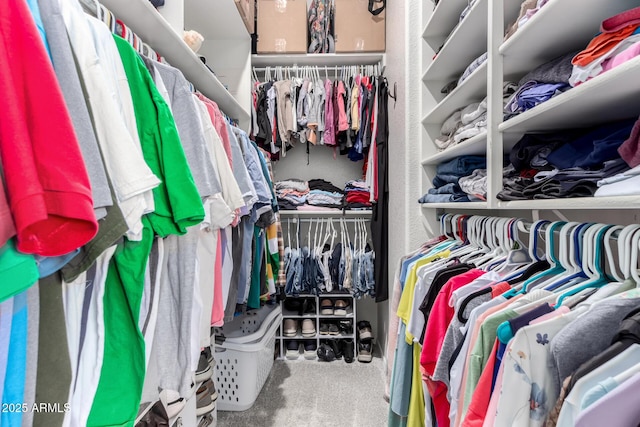 spacious closet featuring carpet