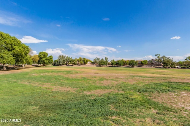 2191 W Goldmine Mountain Dr, Queen Creek, AZ 85144 - view of green lawn