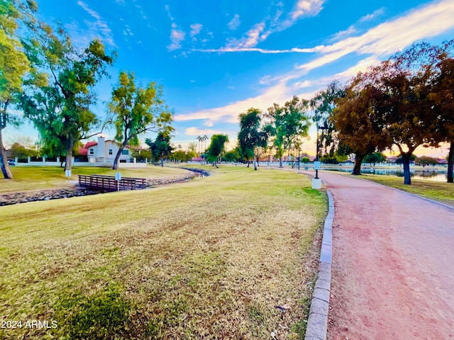 view of property's community with a yard