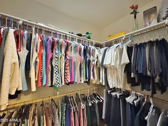 view of spacious closet