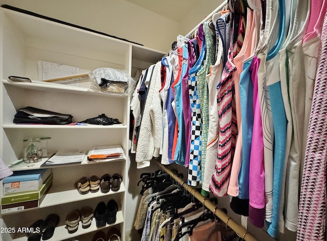 view of walk in closet