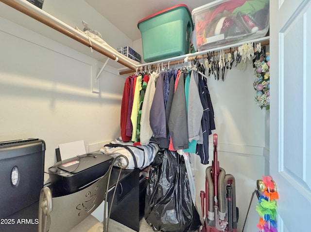 view of spacious closet