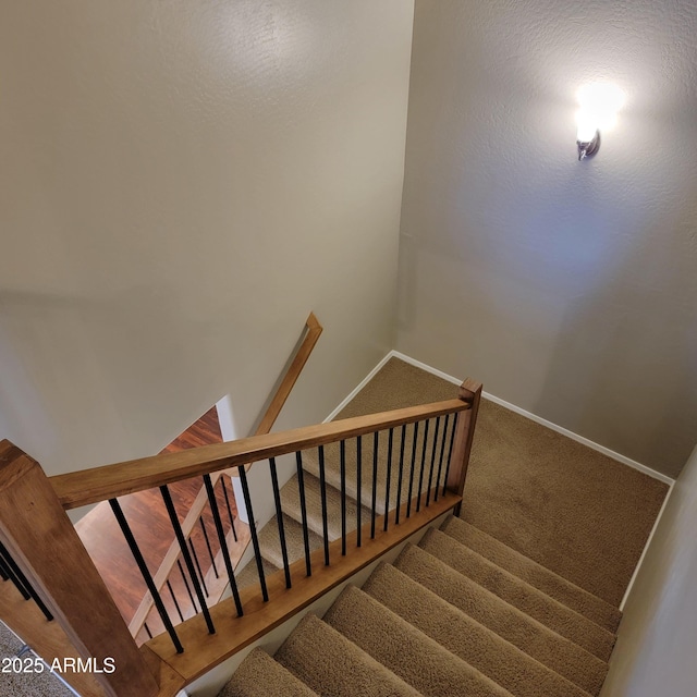 stairs featuring carpet flooring