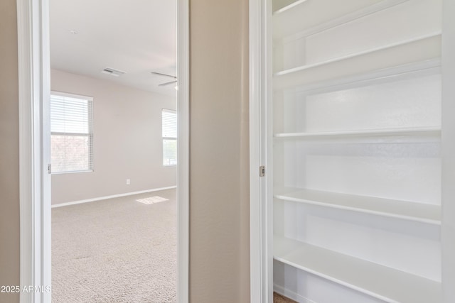 view of closet