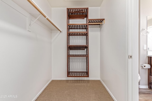 walk in closet with carpet flooring