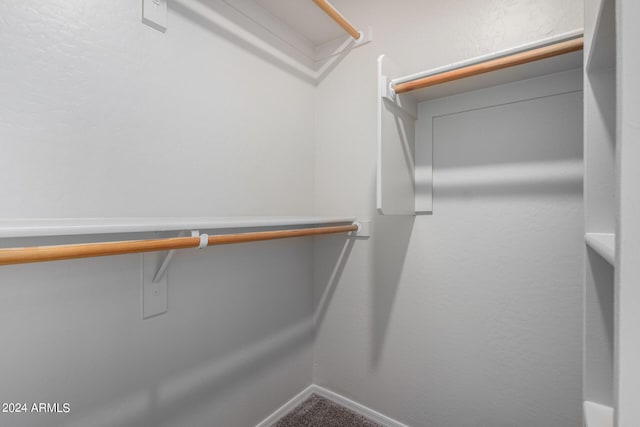 3847 W Yellow Peak Dr, San Tan Valley, AZ 85144 - walk in closet with carpet