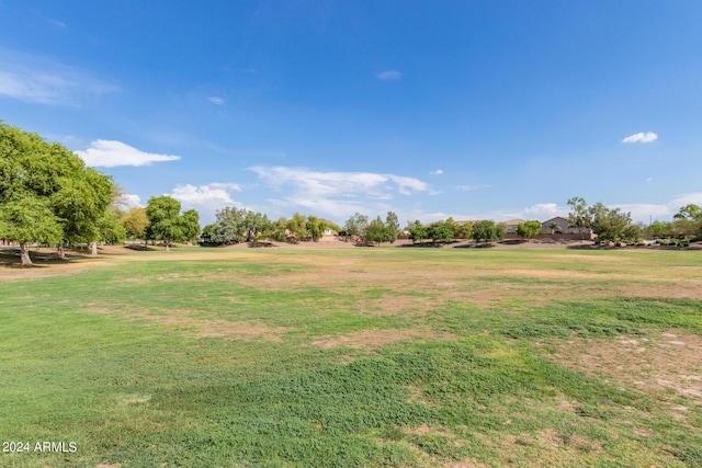 3847 W Yellow Peak Dr, San Tan Valley, AZ 85144 - view of yard