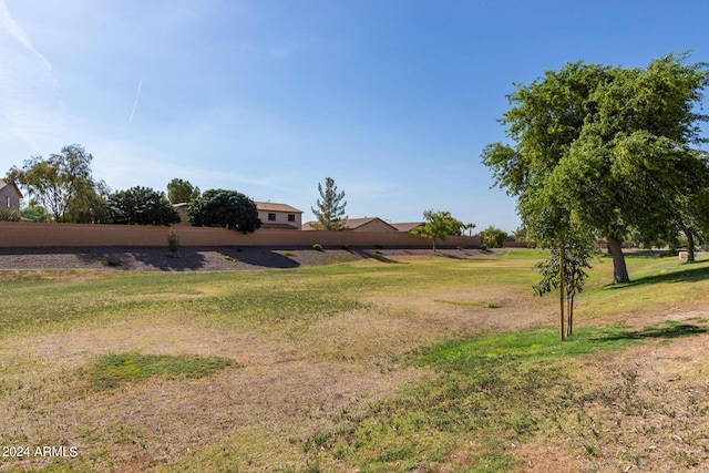 3847 W Yellow Peak Dr, San Tan Valley, AZ 85144 - view of yard