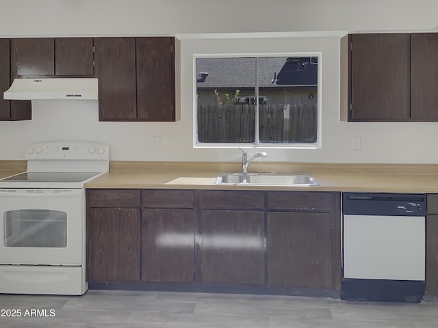 kitchen with sink, dark brown cabinets, light hardwood / wood-style flooring, and white appliances