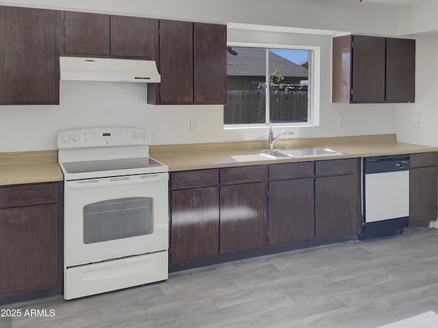 kitchen featuring dark brown cabinets, sink, white appliances, and light hardwood / wood-style floors