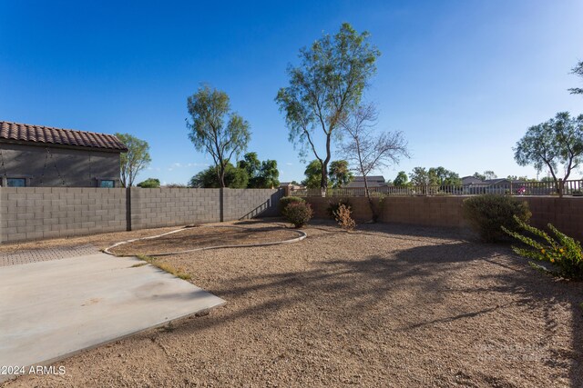 view of yard featuring a patio area