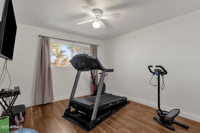 workout room with hardwood / wood-style floors and ceiling fan