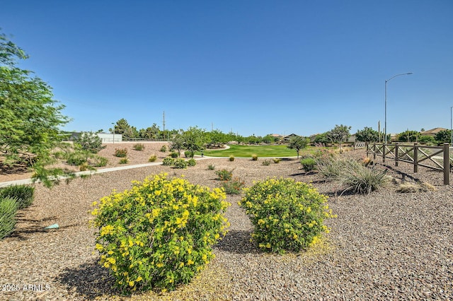 2955 E Flossmoor Ave, Mesa, AZ 85204 - view of yard