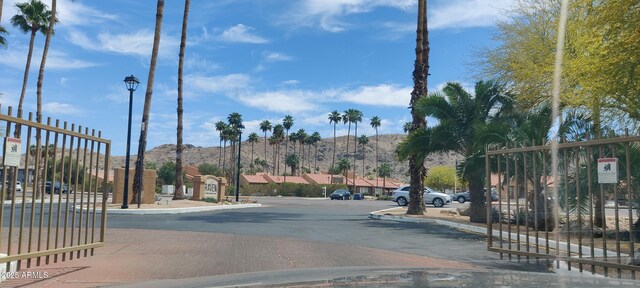 3434 E Baseline Rd Unit 168, Phoenix, AZ 85042 - view of street with a mountain view, curbs, and street lighting
