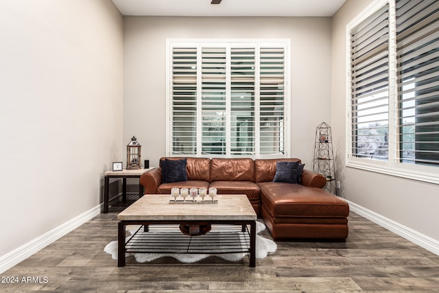 living room featuring hardwood / wood-style flooring and ceiling fan