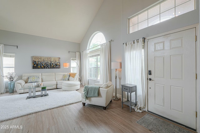 2218 E Anchor Dr, Gilbert, AZ 85234 - living area with high vaulted ceiling and wood finished floors