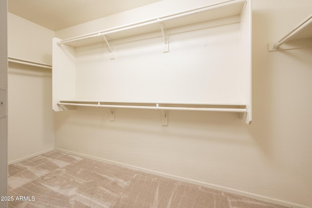 spacious closet with light colored carpet