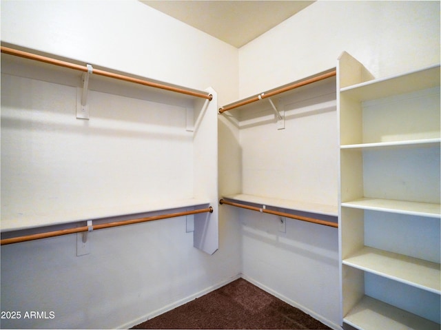 35721 N Zachary Rd, Queen Creek, AZ 85144 - walk in closet with dark carpet