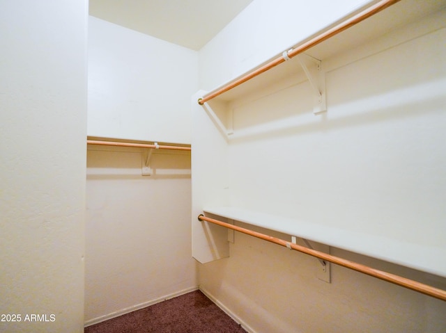 35721 N Zachary Rd, Queen Creek, AZ 85144 - spacious closet featuring carpet floors