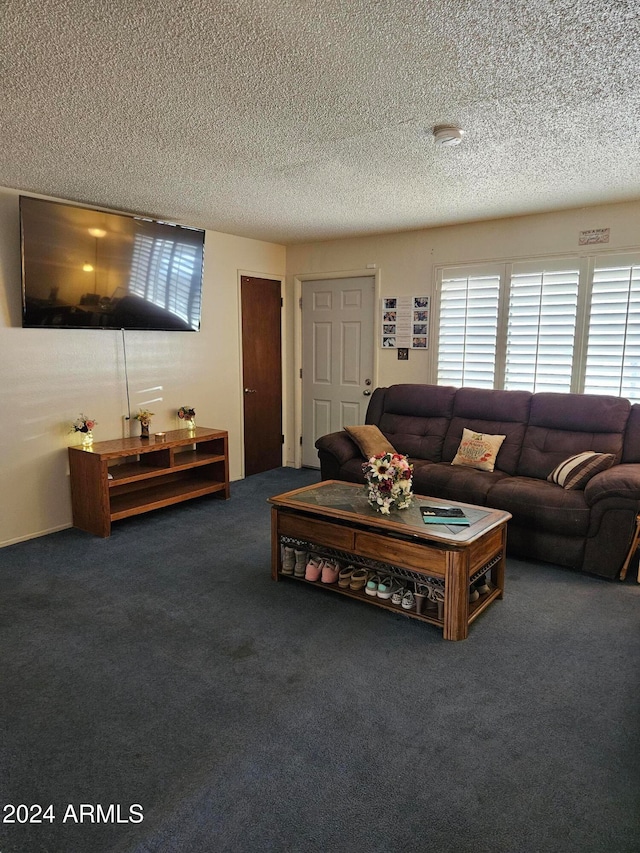 carpeted living room featuring a textured ceiling and plenty of natural light