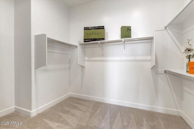 spacious closet featuring carpet flooring