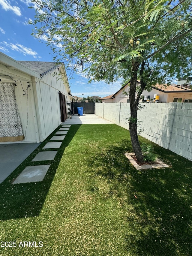 view of yard featuring a patio area