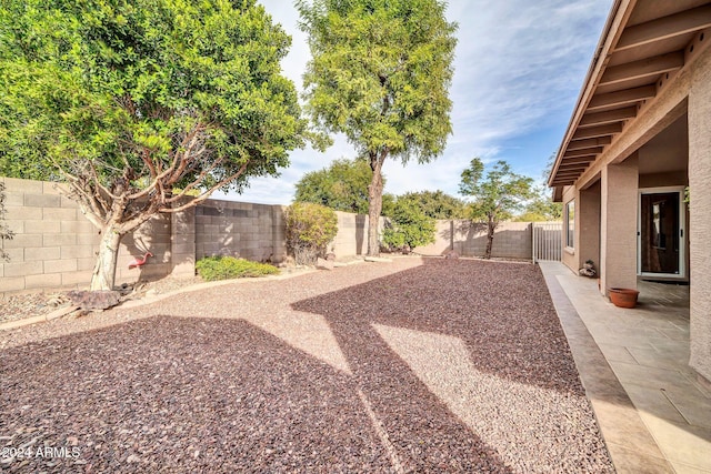 view of yard with a patio area