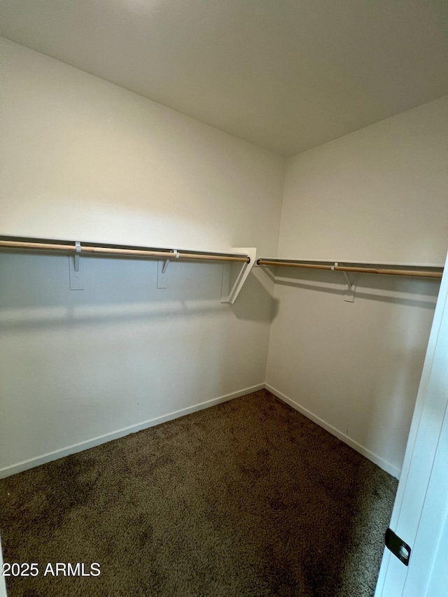 walk in closet with carpet flooring