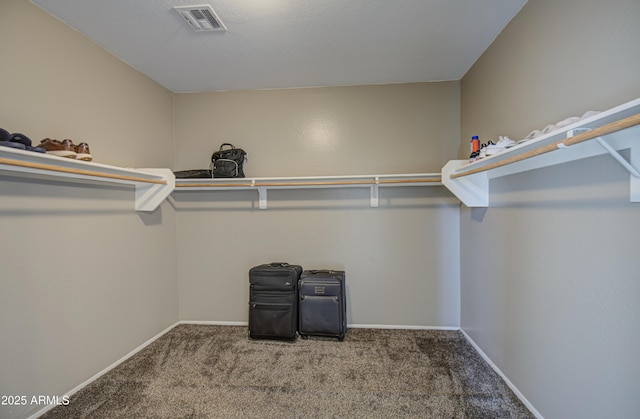 6811 W Darrel Rd, Laveen, AZ 85339 - spacious closet with visible vents and carpet floors