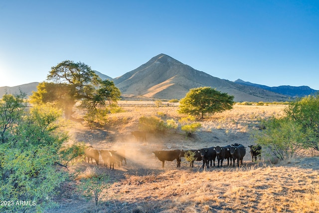 property view of mountains featuring a rural view