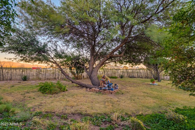 view of yard at dusk