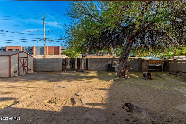 view of yard featuring a shed