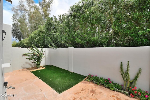 view of yard with a patio