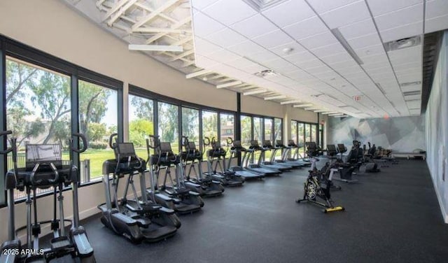 workout area featuring a healthy amount of sunlight and a drop ceiling