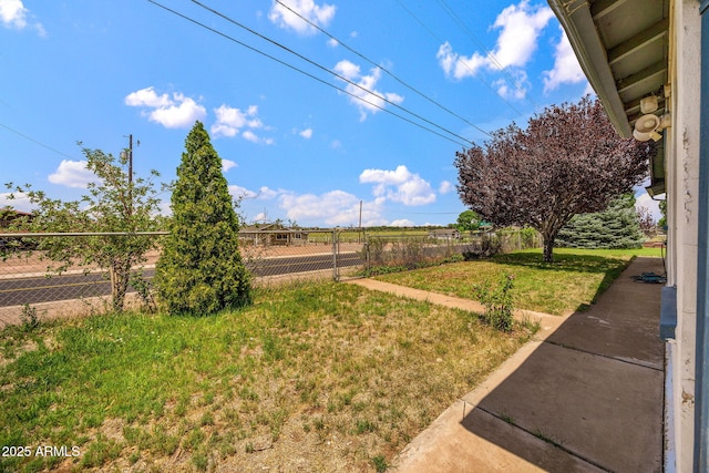 126 E Cattle Ln, Taylor, AZ 85939 - view of yard