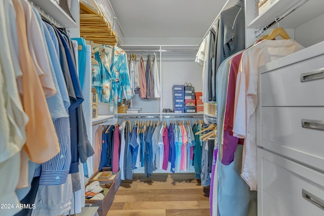 spacious closet with light hardwood / wood-style flooring