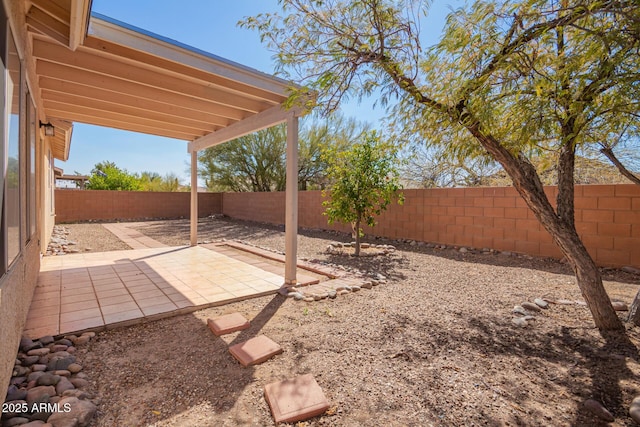 view of yard with a fenced backyard and a patio