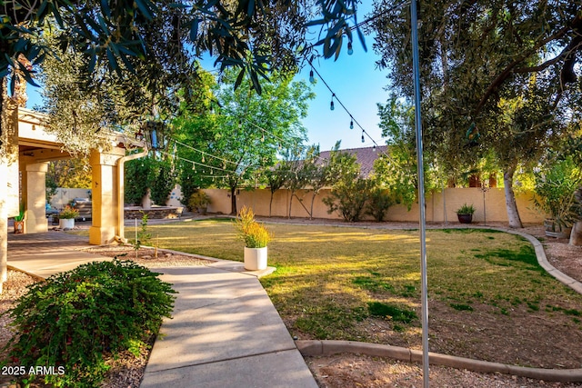 view of yard featuring a patio area