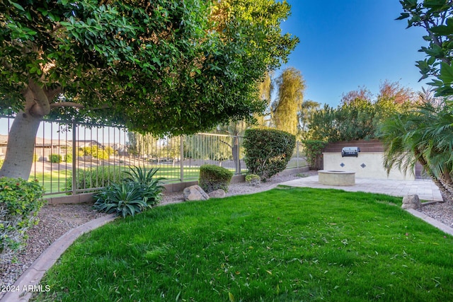 view of yard with an outdoor kitchen