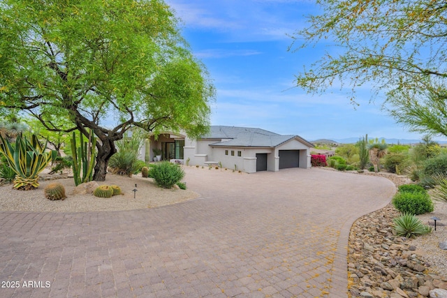 ranch-style house featuring an attached garage, curved driveway, and stucco siding