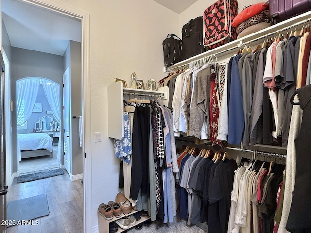 spacious closet with hardwood / wood-style floors