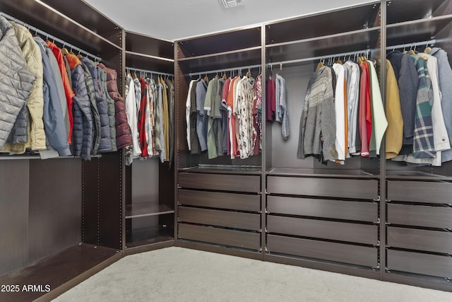 spacious closet with carpet