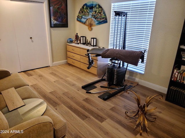 exercise area with light hardwood / wood-style floors