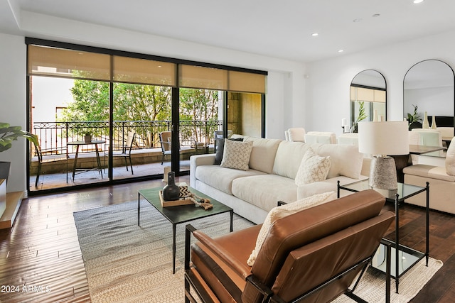 living room featuring hardwood / wood-style flooring and plenty of natural light