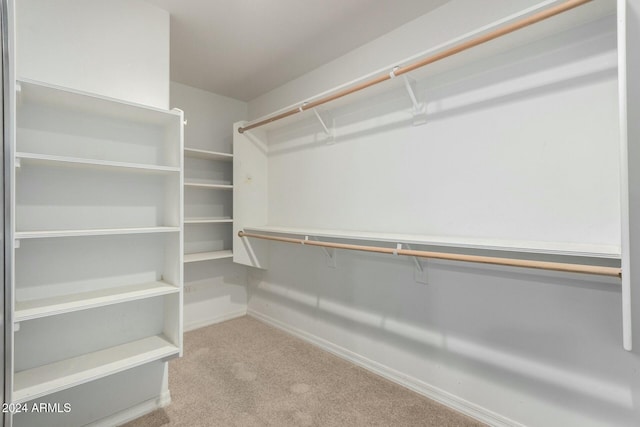 spacious closet featuring light colored carpet