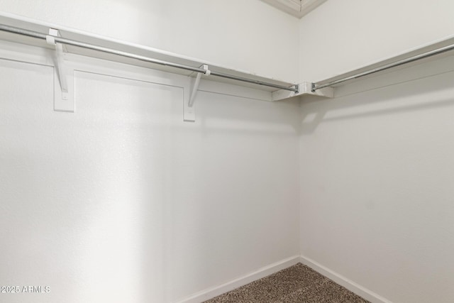 walk in closet with carpet